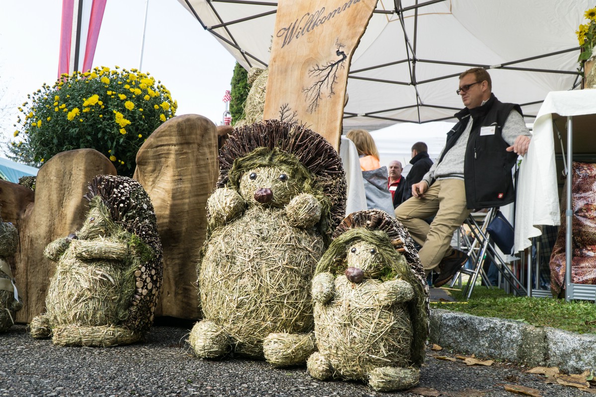 O Fotomagazin / Handwerksmarkt Wilhering 2016